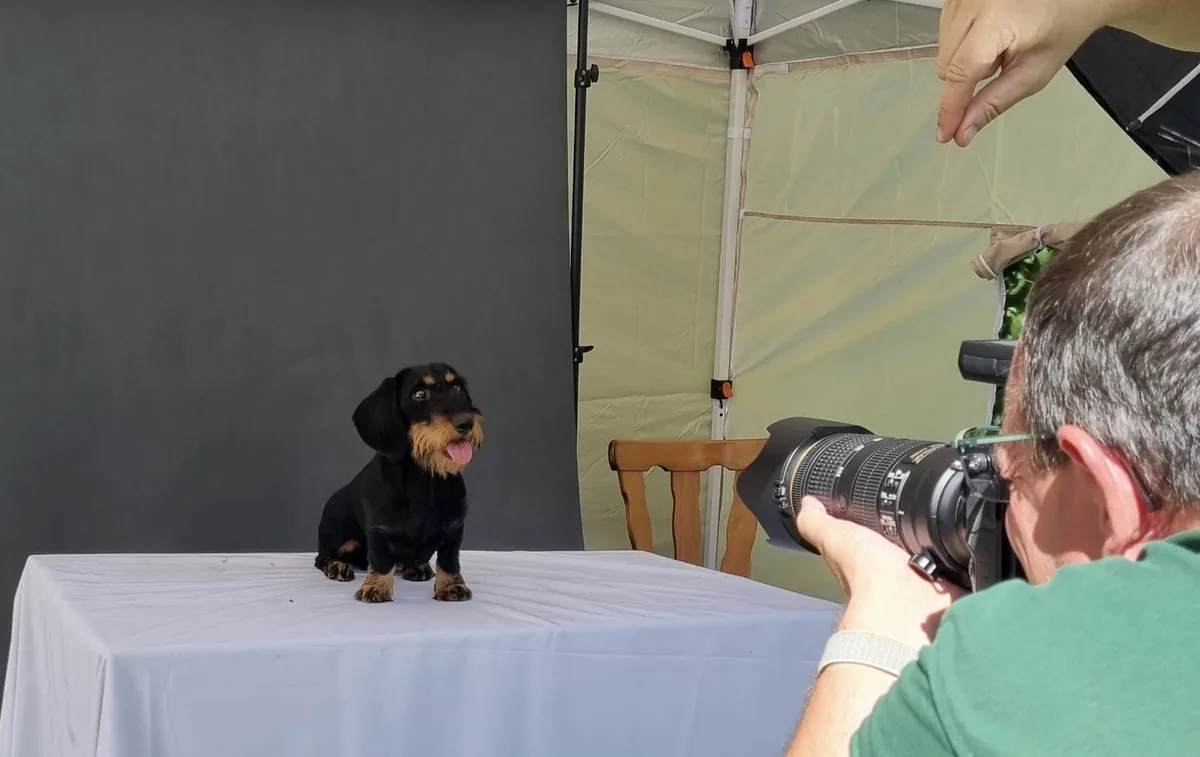 Olaf Wagner beim Shooting mit einem Hund